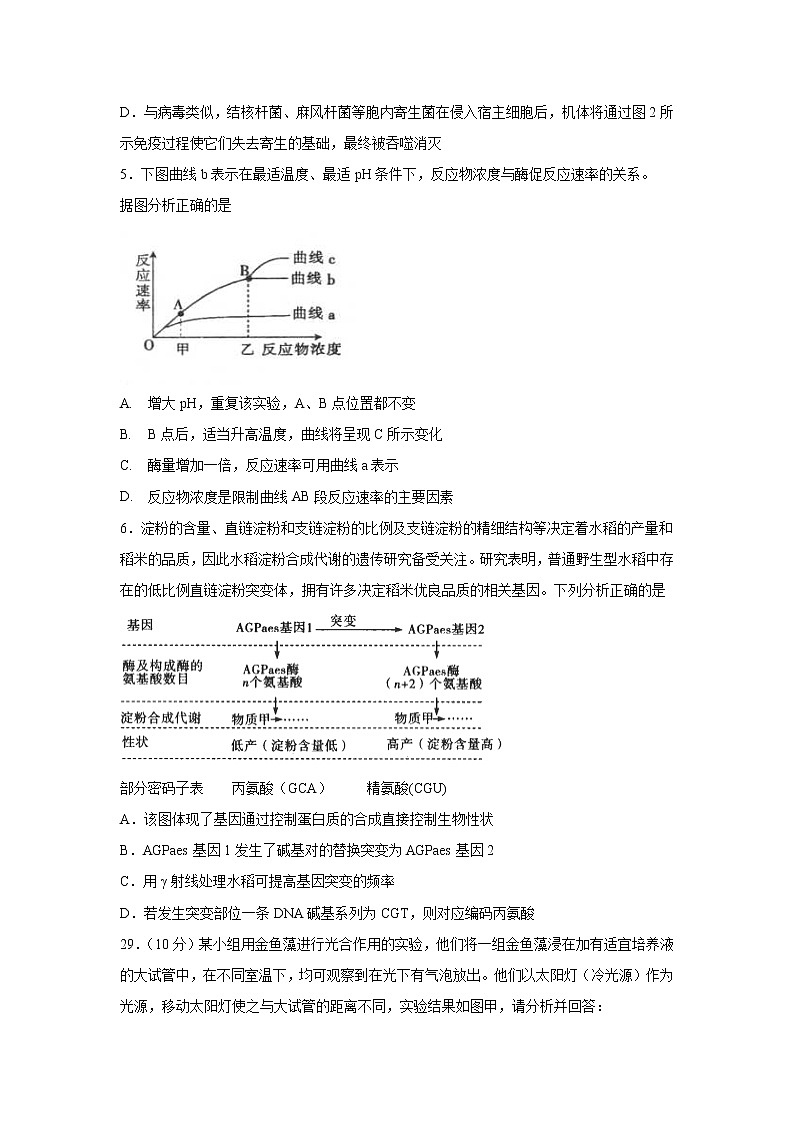【生物】云南省普洱市景东彝族自治县第一中学2019-2020学年高二下学期期中考理综试题02