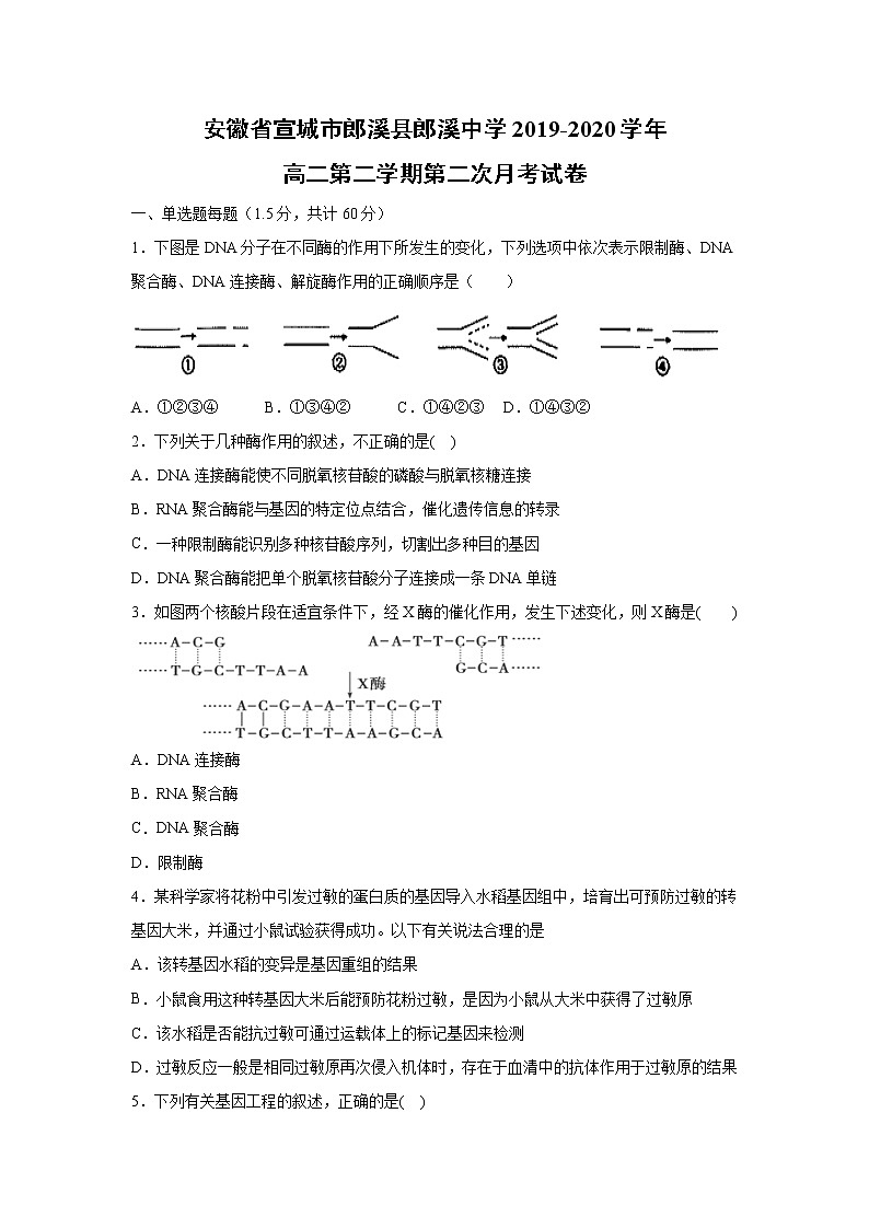 【生物】安徽省宣城市郎溪县郎溪中学2019-2020学年高二第二学期第二次月考试卷01