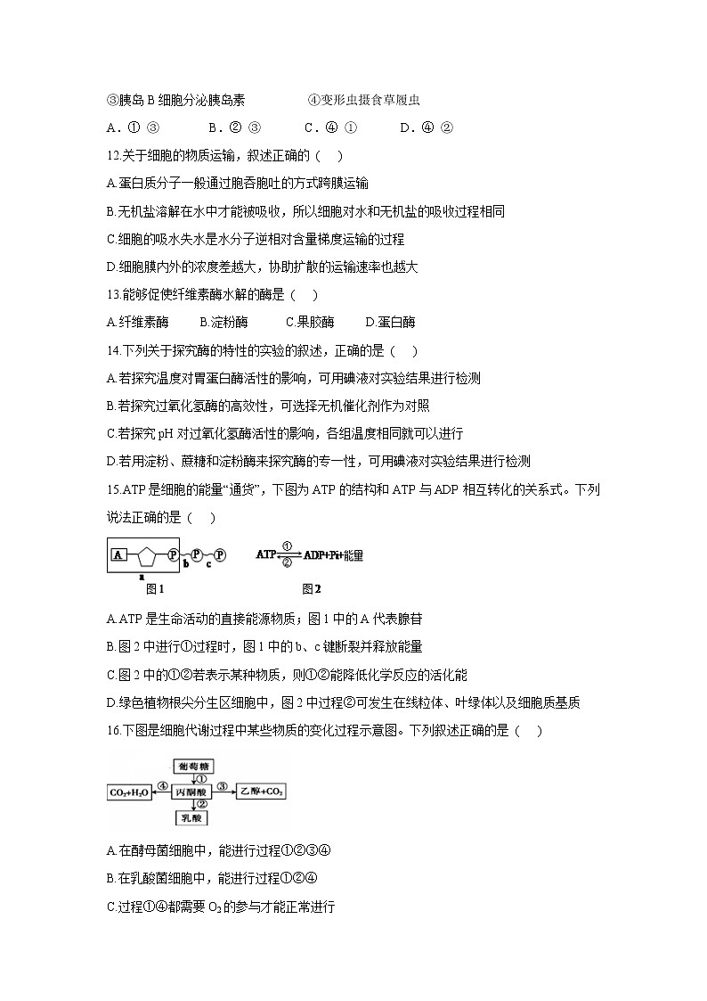 【生物】安徽省合肥市庐江三中2019-2020学年高二下学期月考（一）试题03
