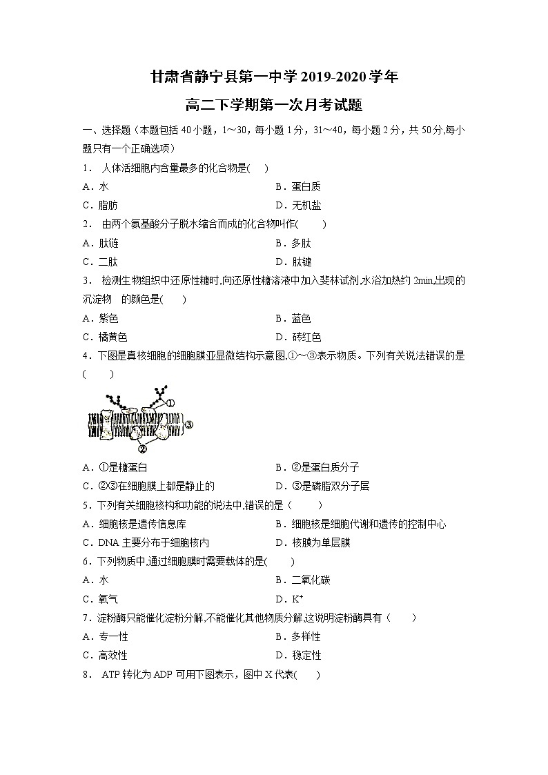 【生物】甘肃省静宁县第一中学2019-2020学年高二下学期第一次月考试题01