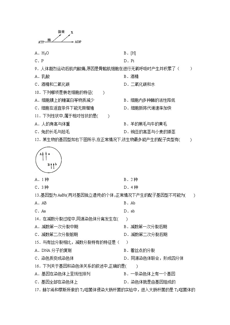 【生物】甘肃省静宁县第一中学2019-2020学年高二下学期第一次月考试题02