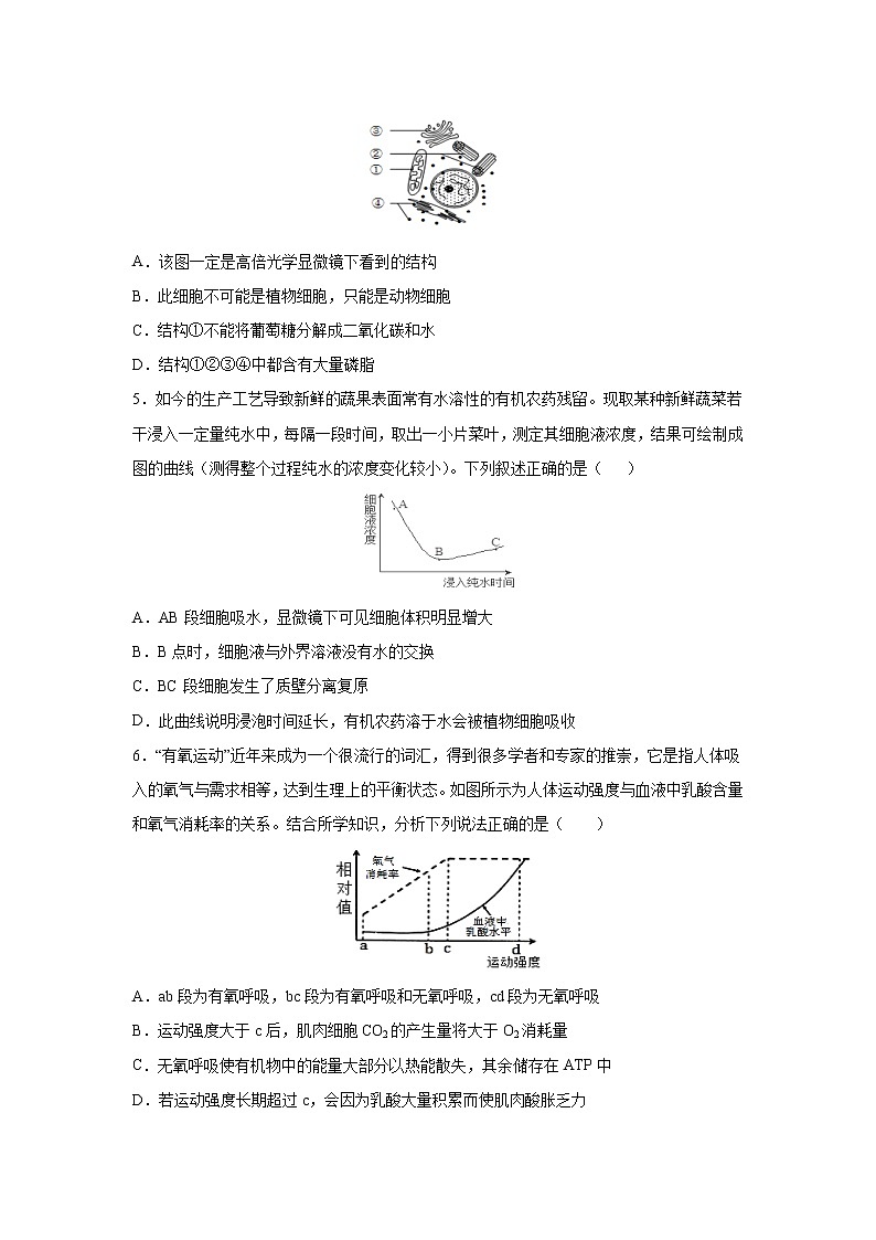 【生物】广东省湛江市第二十一中学2019-2020学年高二下学期开学考试试题第2页