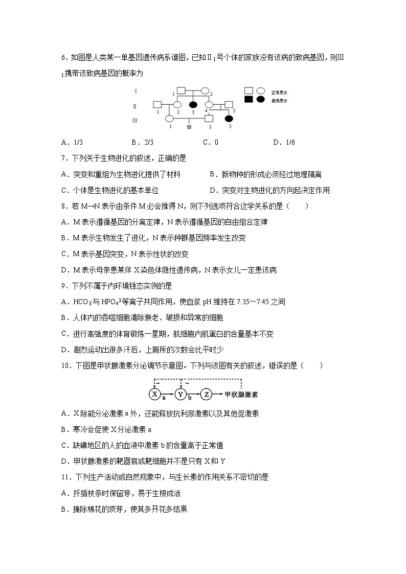 【生物】广东省阳春市第一中学2019-2020学年高二下学期月考四试题（解析版）02