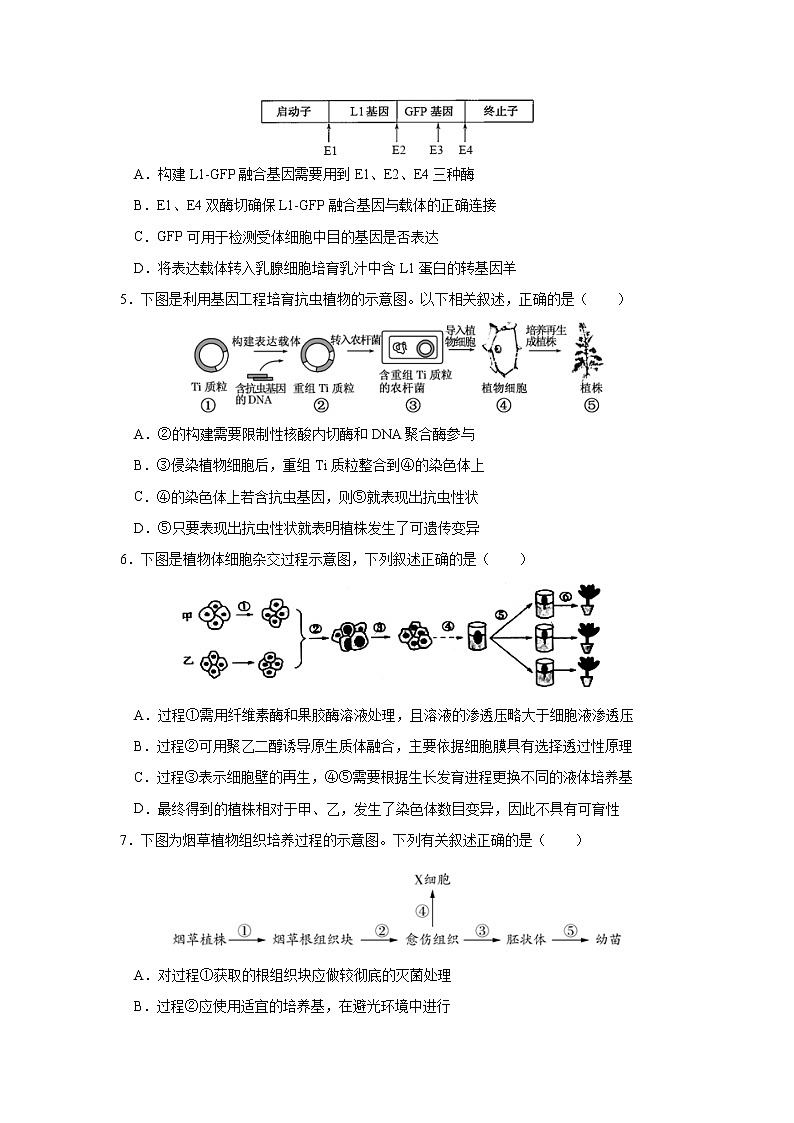 【生物】广东省湛江市第二十一中学2019-2020学年高二下学期复学考试（线上测试）试题第2页