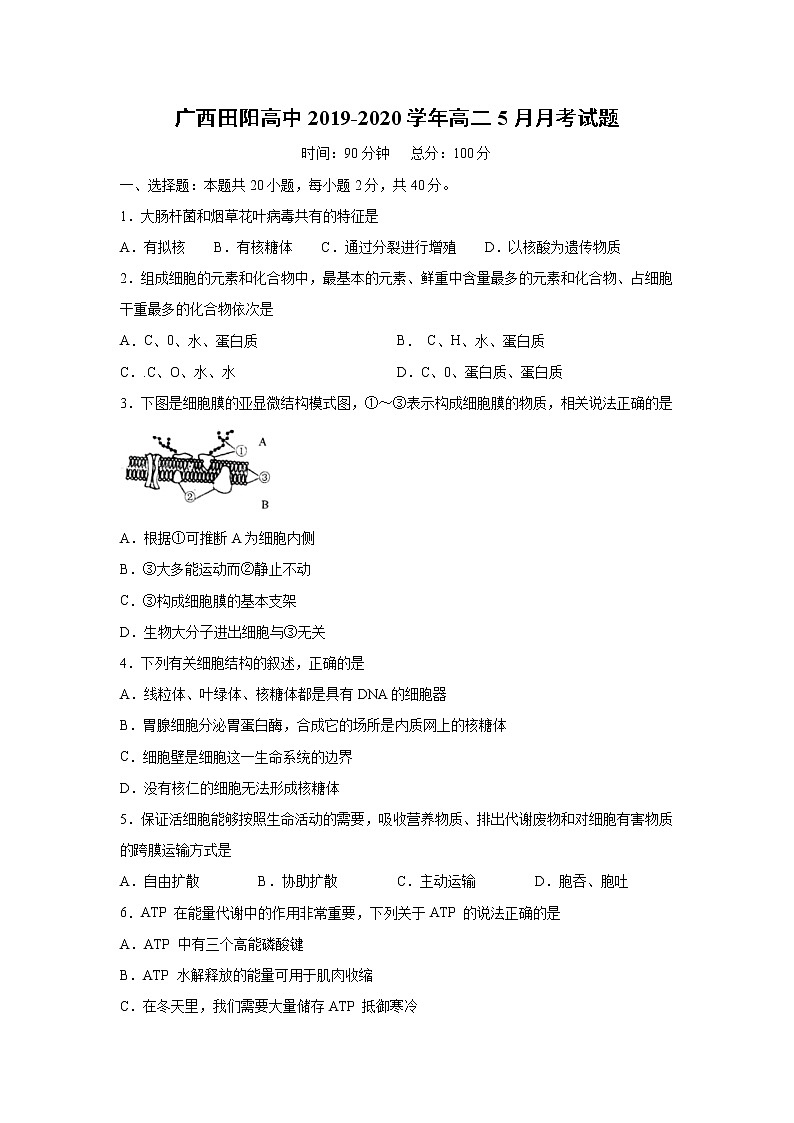 【生物】广西田阳高中2019-2020学年高二5月月考试题01