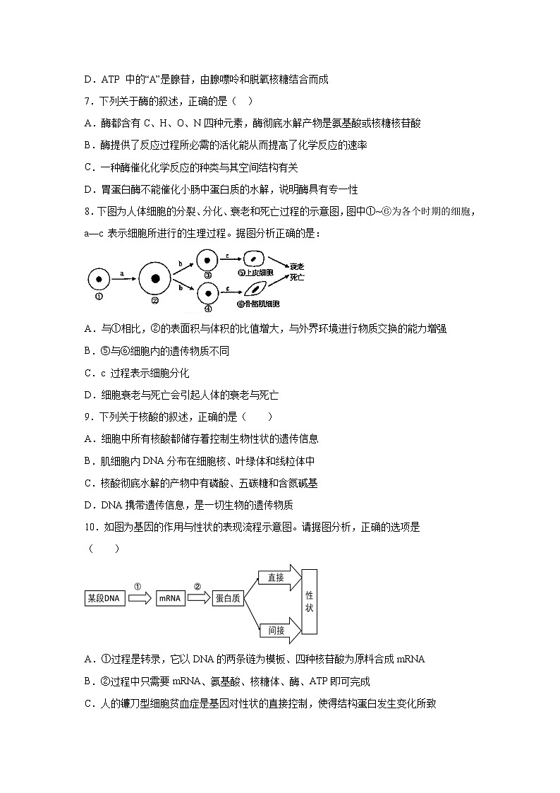 【生物】广西田阳高中2019-2020学年高二5月月考试题02