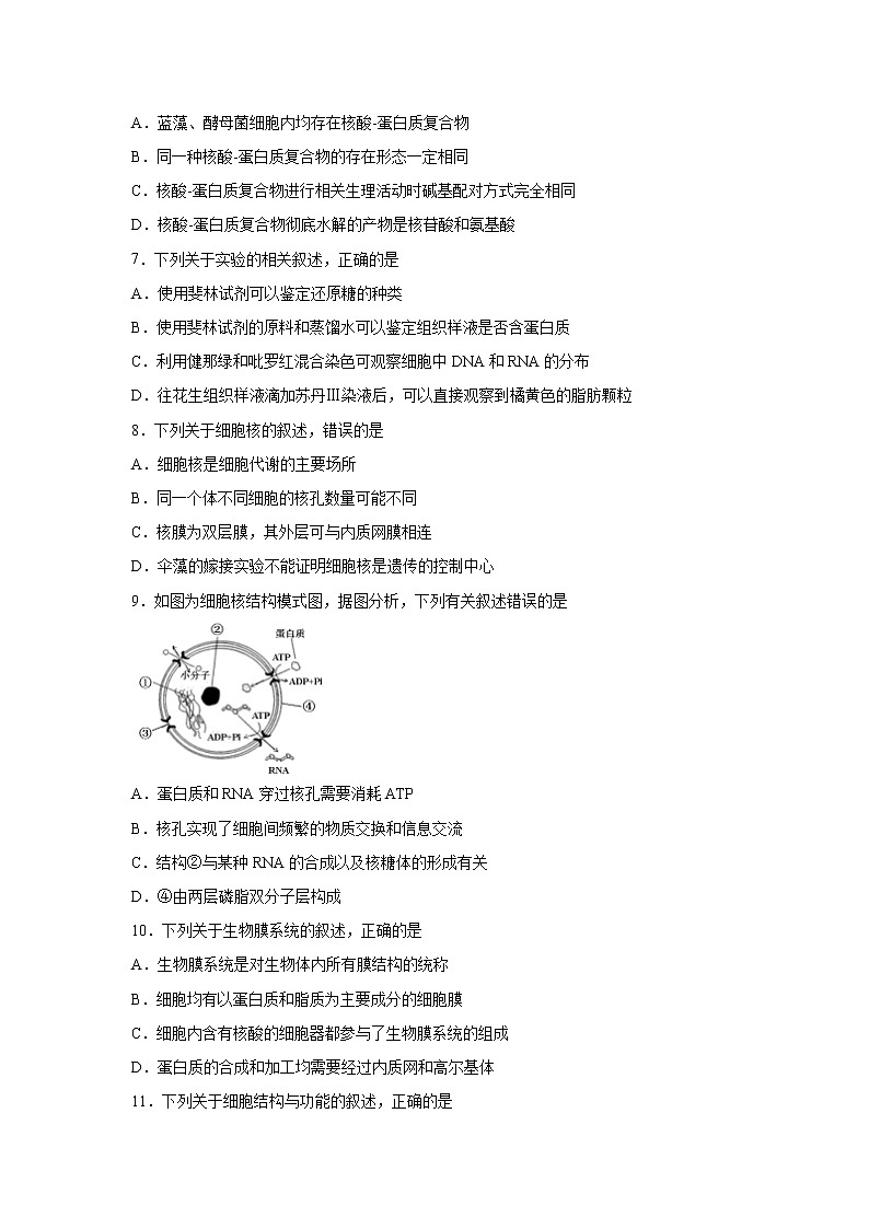【生物】广西南宁市第三中学2019-2020学年高二下学期月考（三）试题02