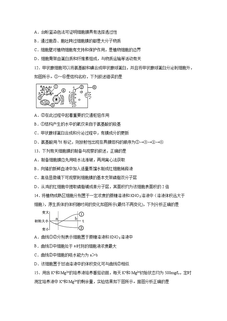 【生物】广西南宁市第三中学2019-2020学年高二下学期月考（三）试题03