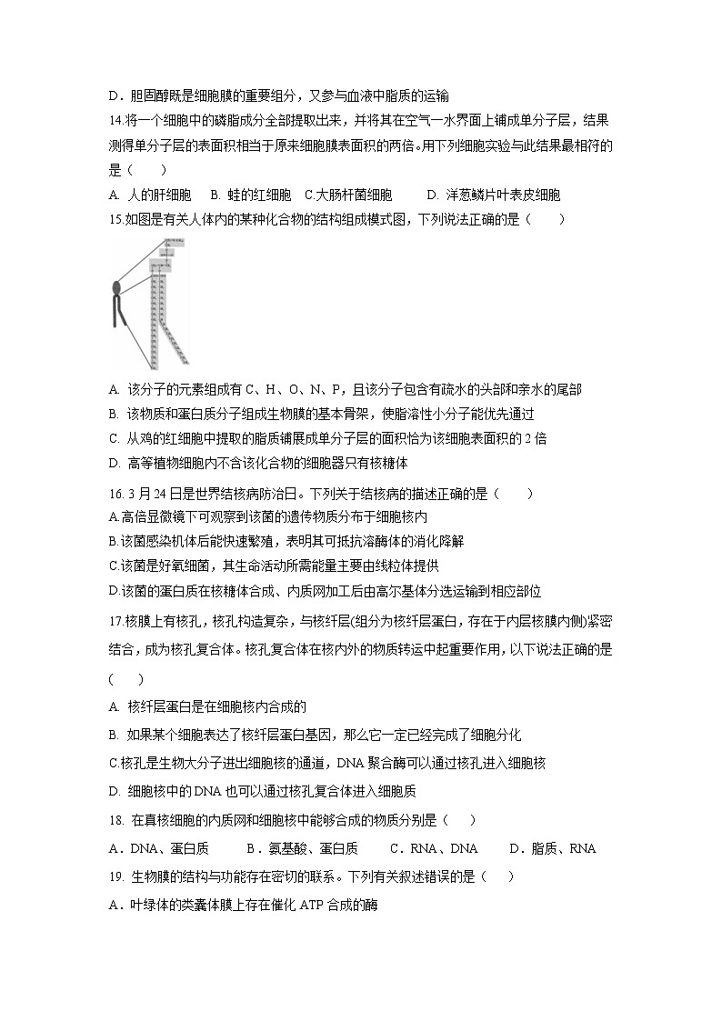 【生物】河北省沧州市盐山县盐山中学2019-2020学年高二下学期开学考试试题第3页