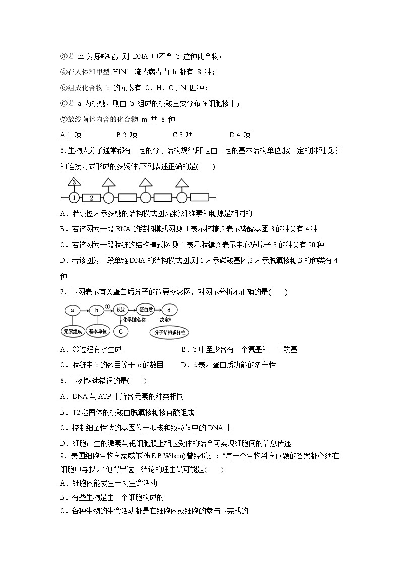 【生物】河南省灵宝三高2019-2020学年高二下学期入学考试试题02