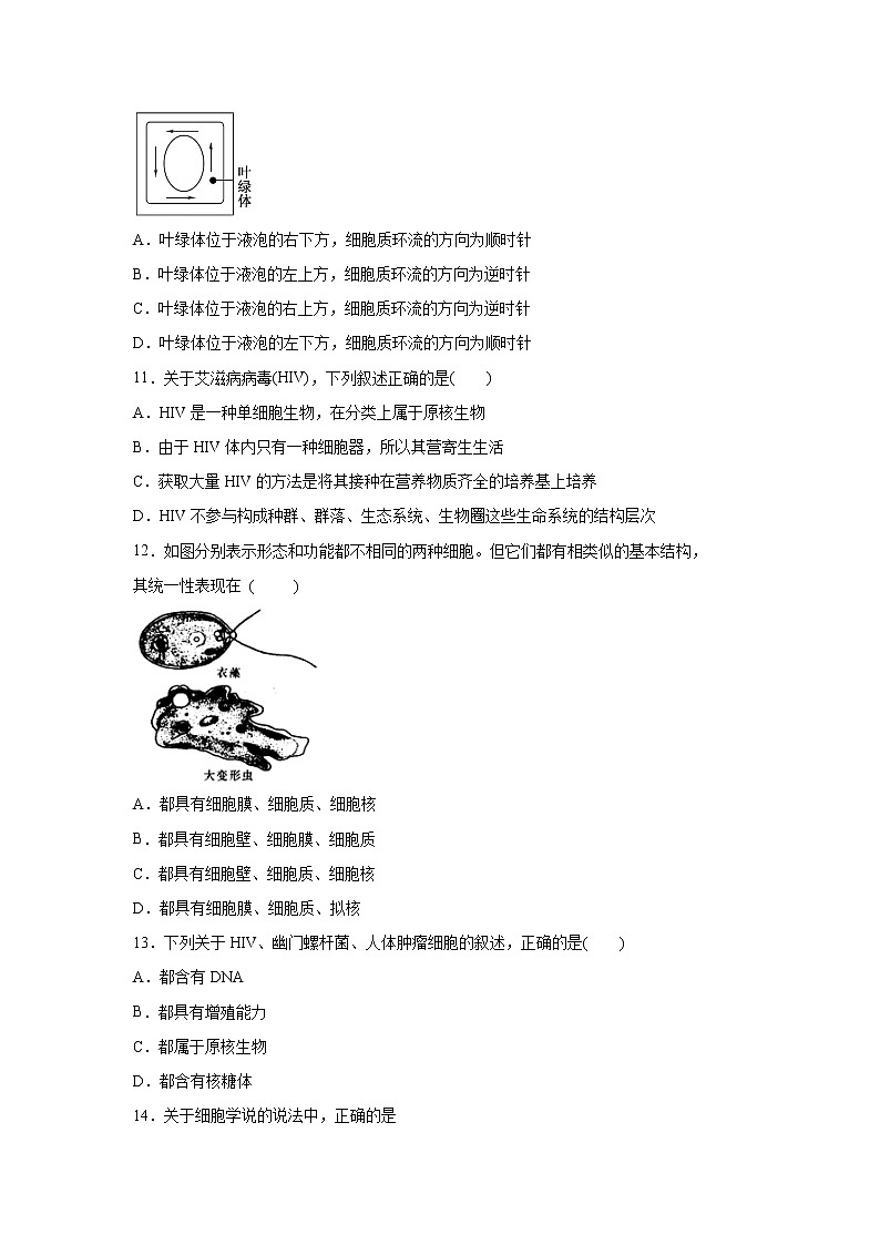 【生物】黑龙江省大庆实验中学2019-2020学年高二下学期网上周测（4.17-18）试题03