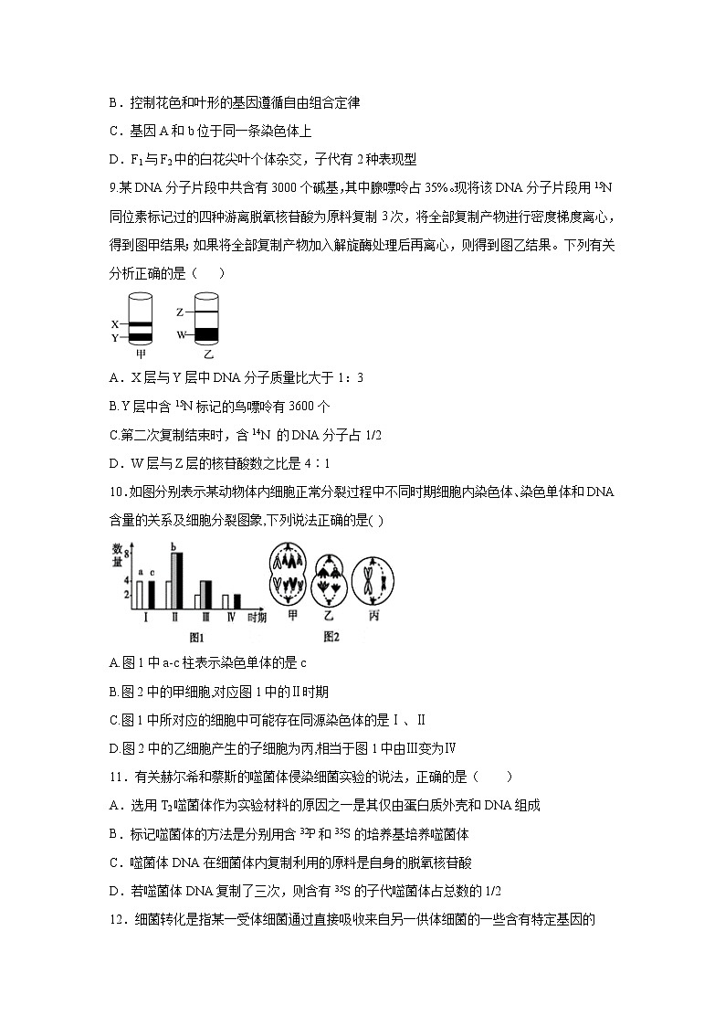 【生物】河南省郑州市中牟县第一高级中学2019-2020高二下学期第四次月考考试试卷第3页