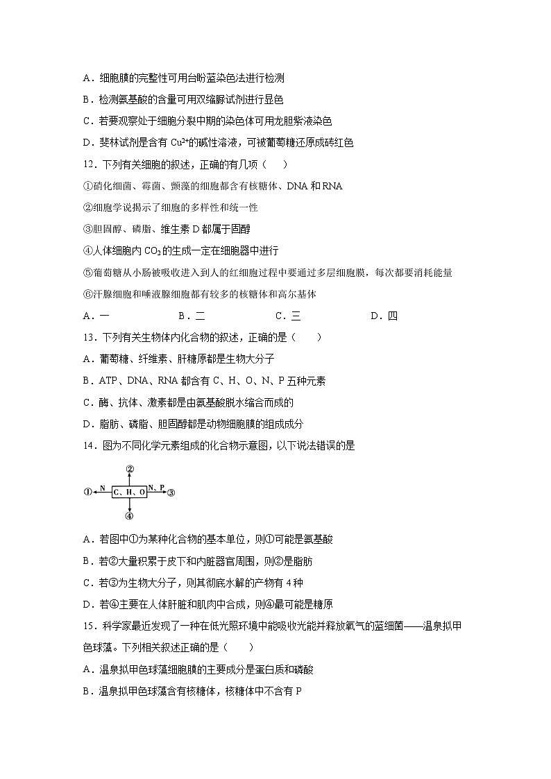 【生物】黑龙江省大庆实验中学2019-2020学年高二下学期周测（5.21-23）试题03