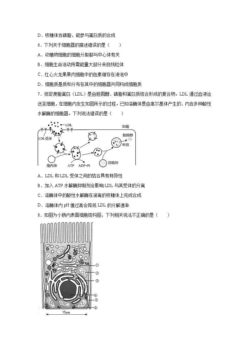 【生物】黑龙江省大庆实验中学2019-2020学年高二下学期周测（29-30）试题第2页