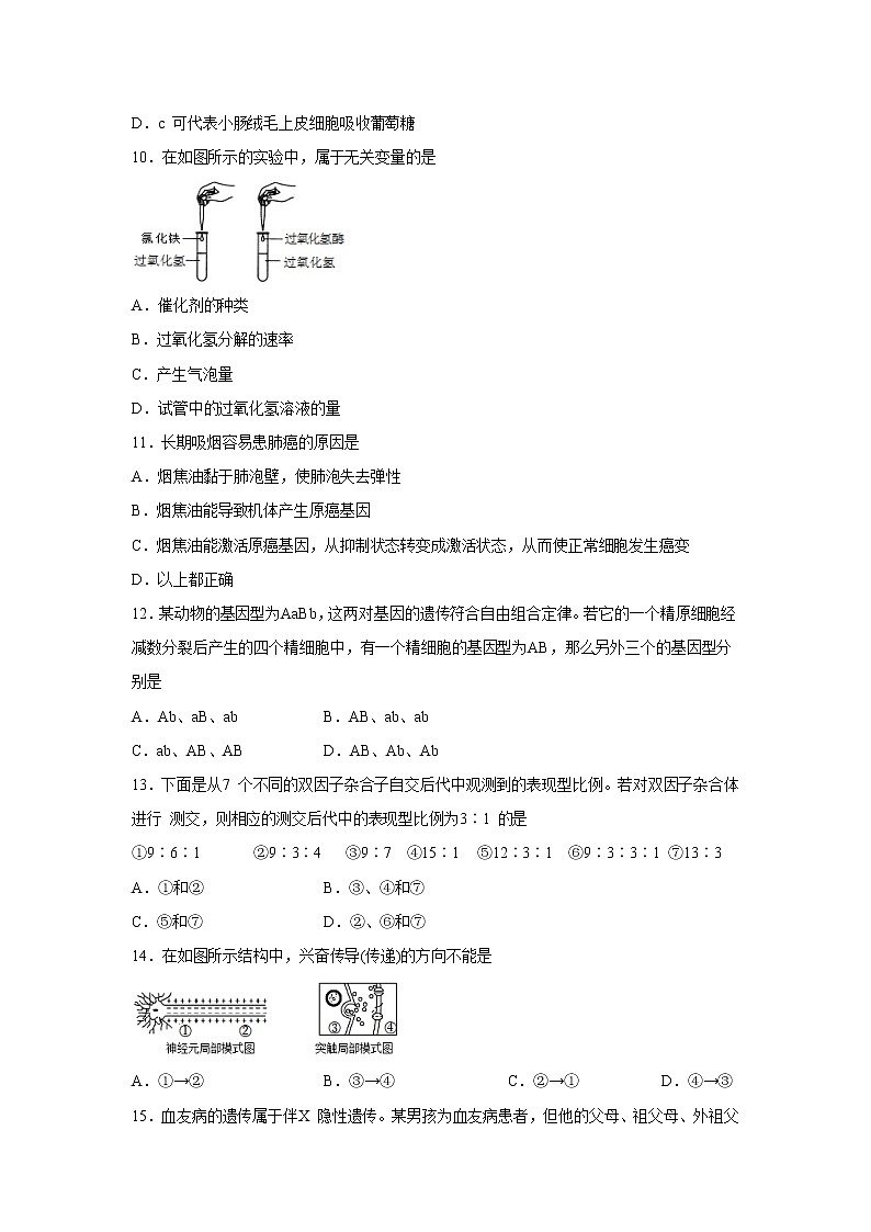 【生物】湖南省衡阳市第一中学等十校2019-2020学年高二5月联考试题第3页