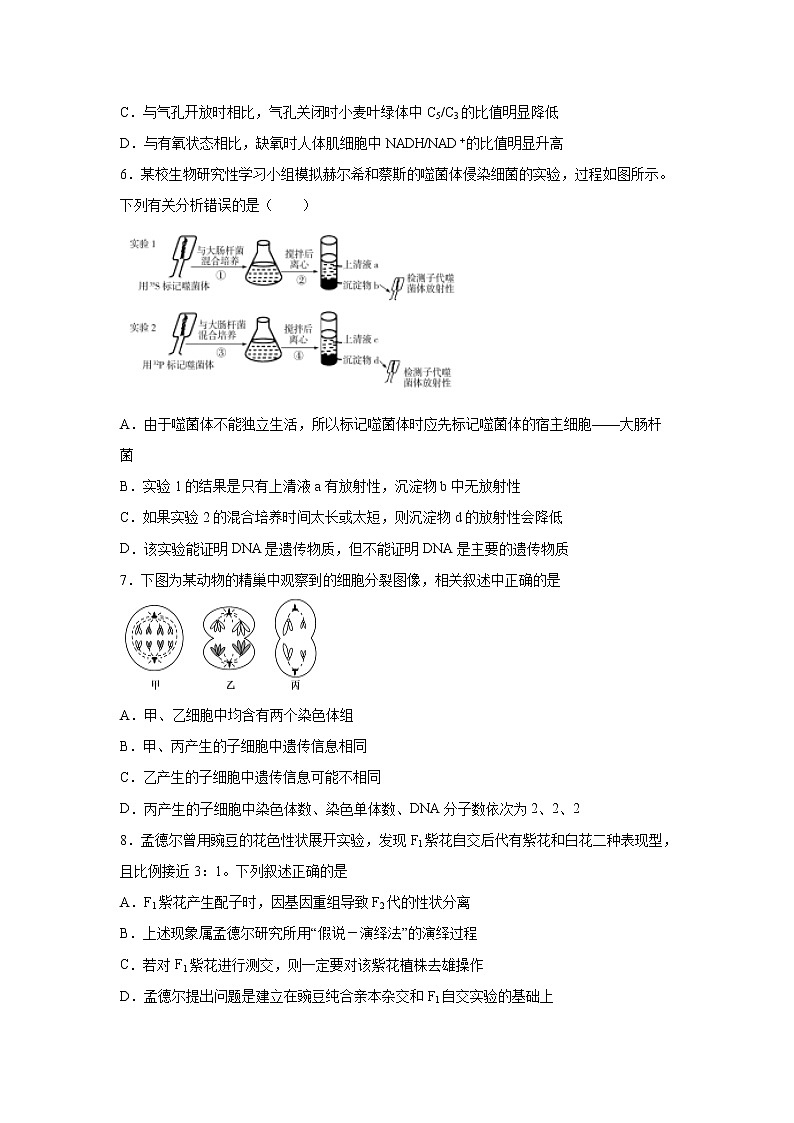 【生物】山西省忻州一中2019-2020学年高二下学期期中考试试题02
