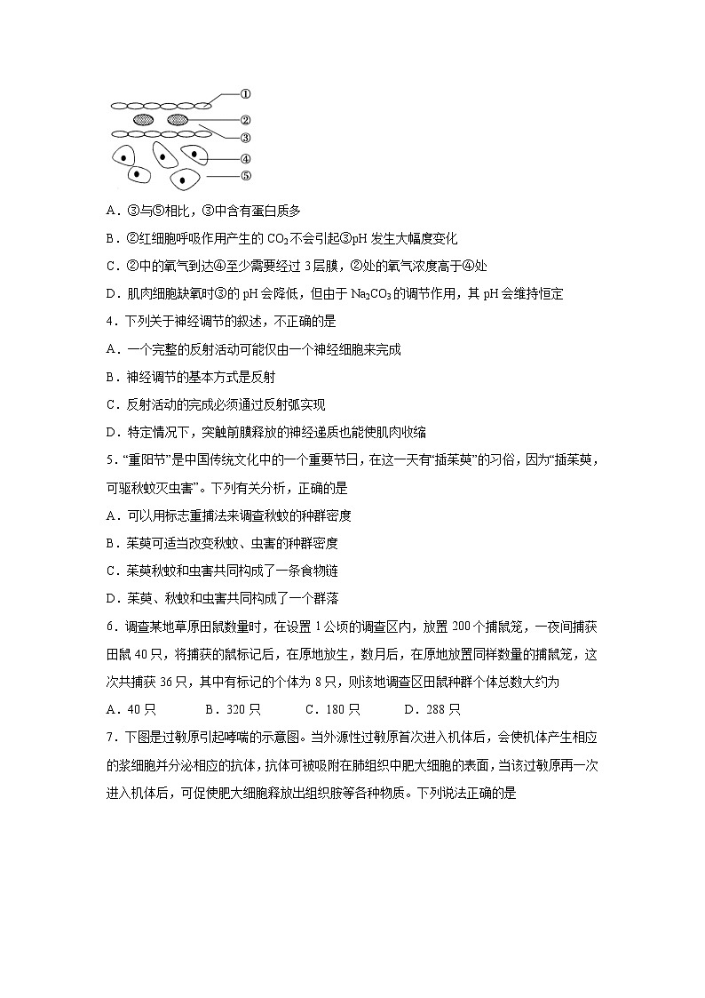 【生物】四川省泸县第四中学2019-2020学年高二下学期期中考试试题第2页