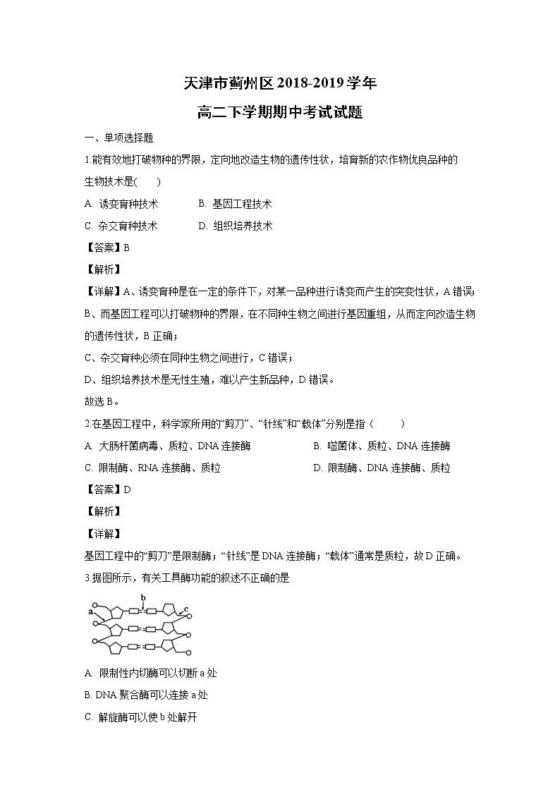 【生物】天津市蓟州区2018-2019学年高二下学期期中考试试题（解析版）01