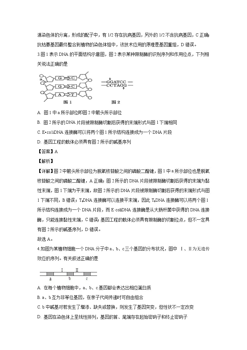 【生物】天津一中2018-2019学年高二下学期期中考试试题（解析版）02