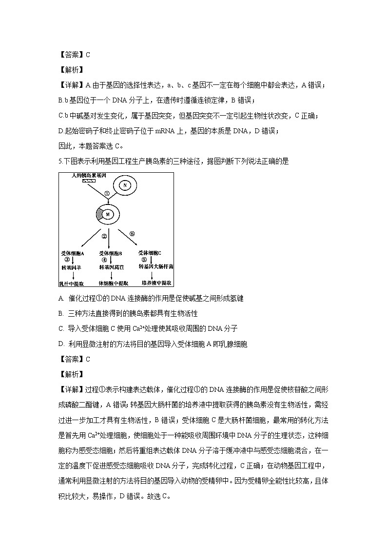 【生物】天津一中2018-2019学年高二下学期期中考试试题（解析版）03