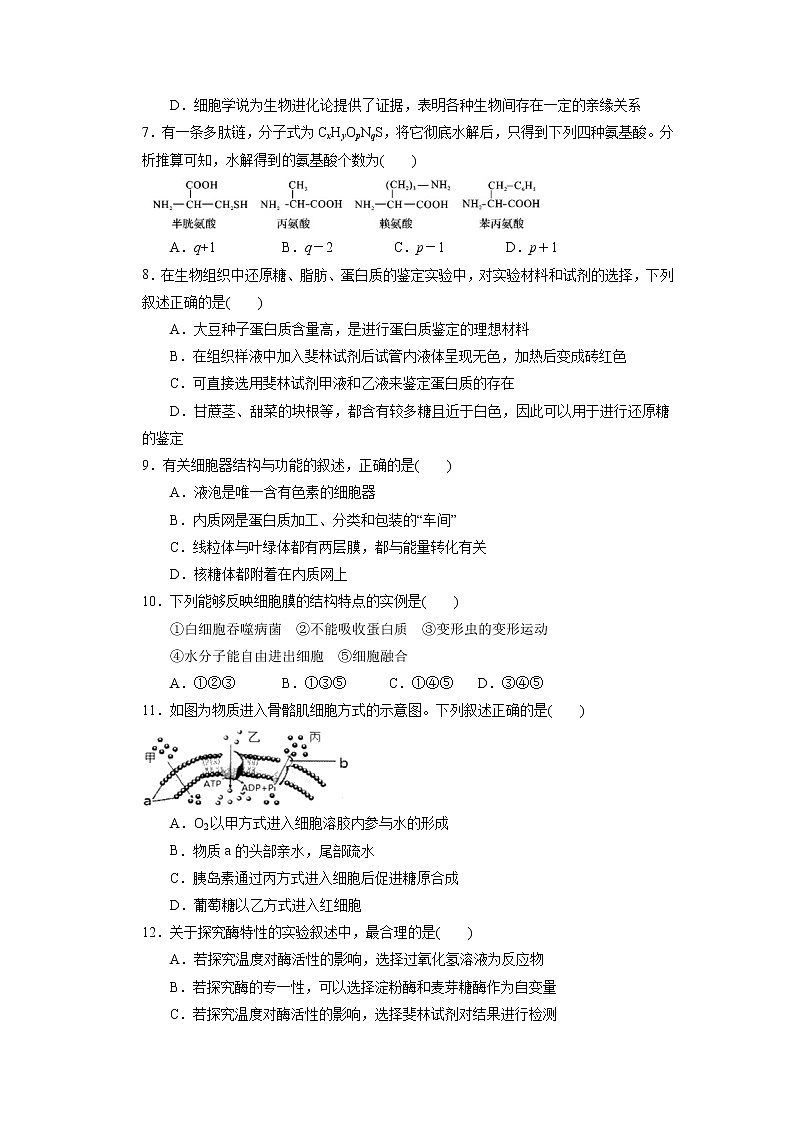 【生物】云南省下关第一中学2019-2020学年高二下学期期中考试试题（解析版）02