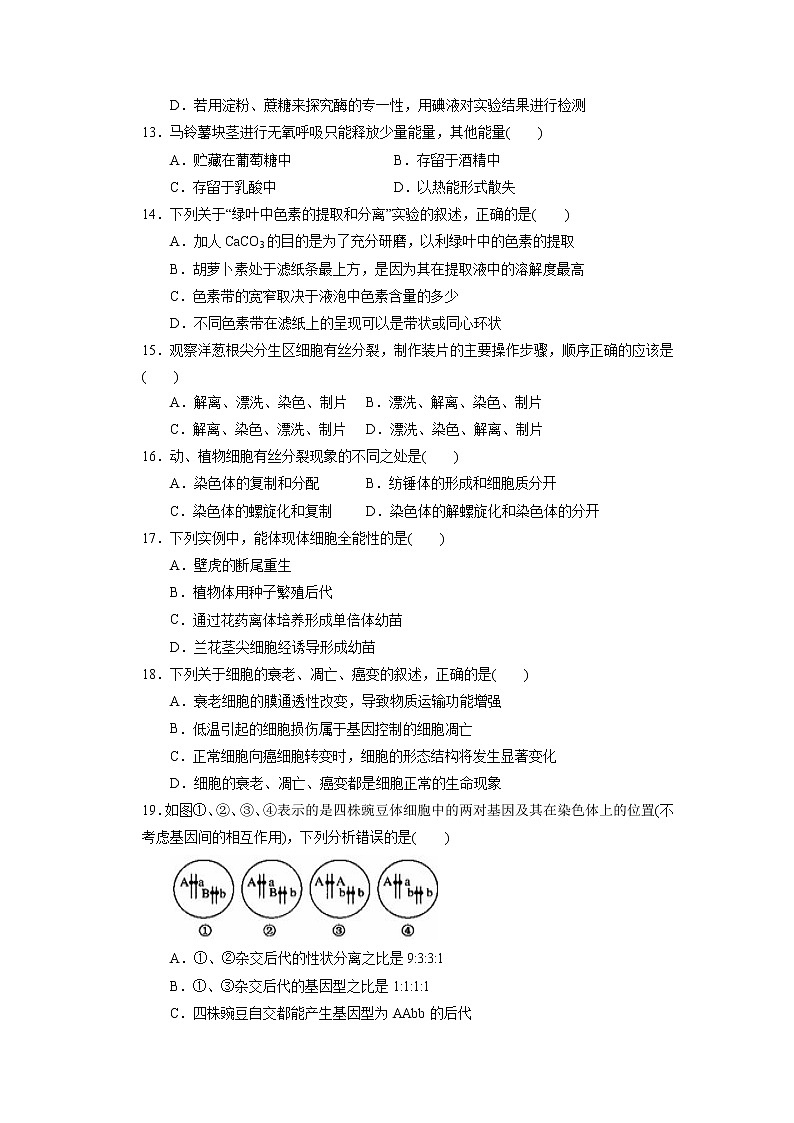 【生物】云南省下关第一中学2019-2020学年高二下学期期中考试试题（解析版）03