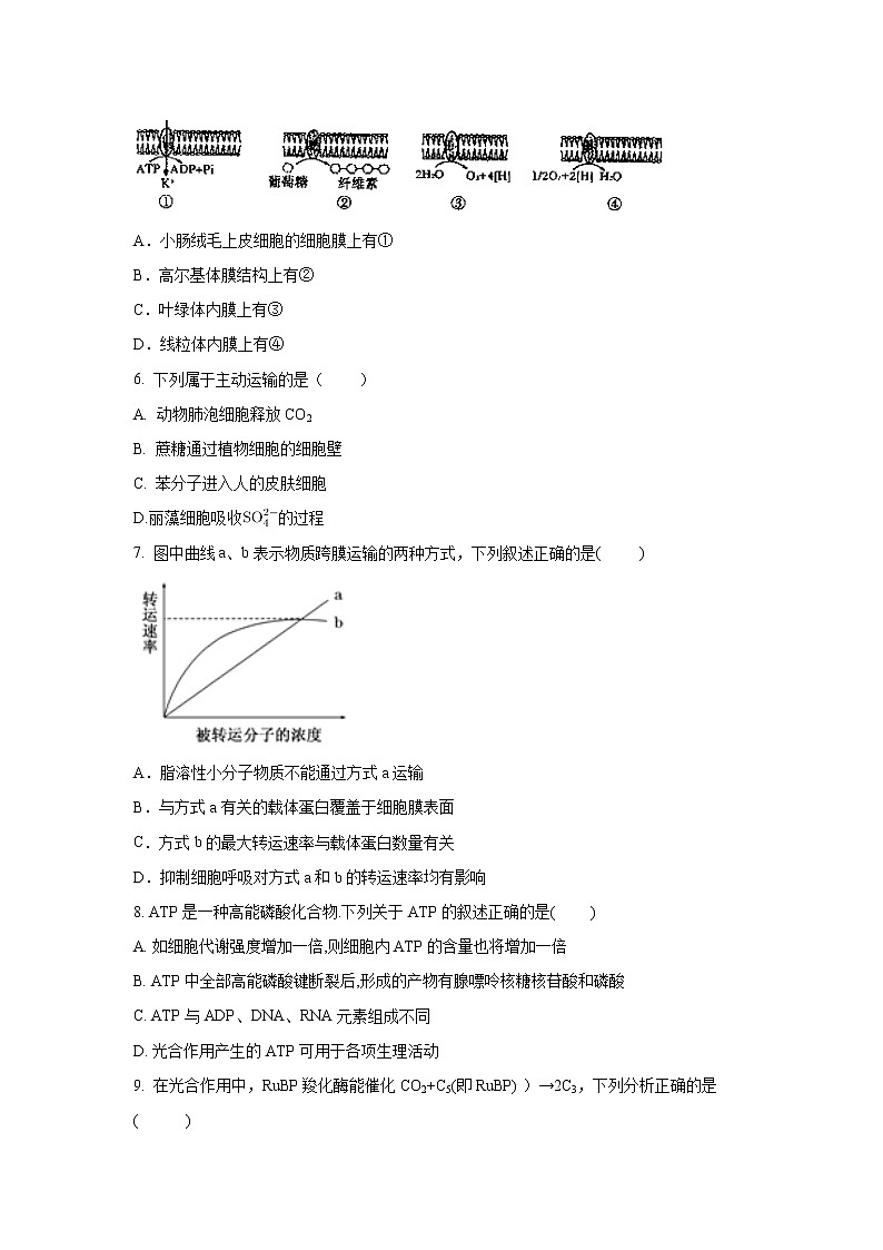 【生物】云南省昆明市东川区明月中学2018-2019学年高二下学期期中考试试题02