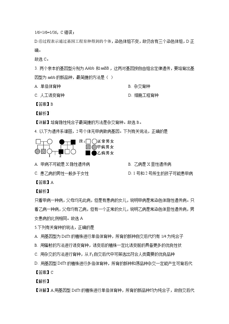 【生物】河南省洛阳市一中2019-2020学年高二（12月）月考试题（解析版）第2页