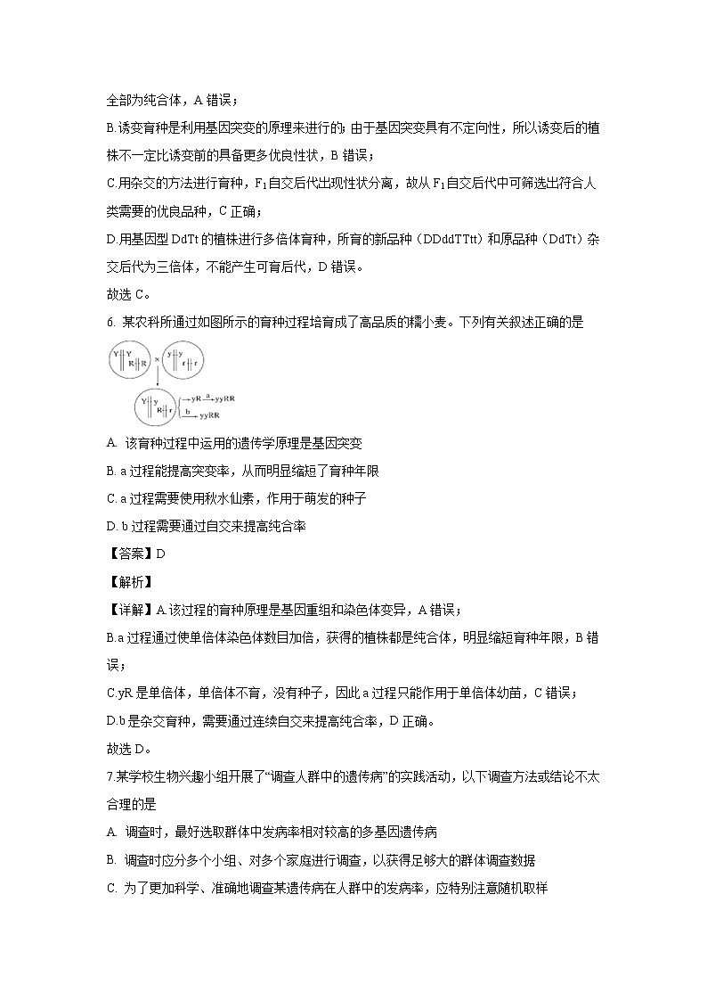 【生物】河南省洛阳市一中2019-2020学年高二（12月）月考试题（解析版）第3页