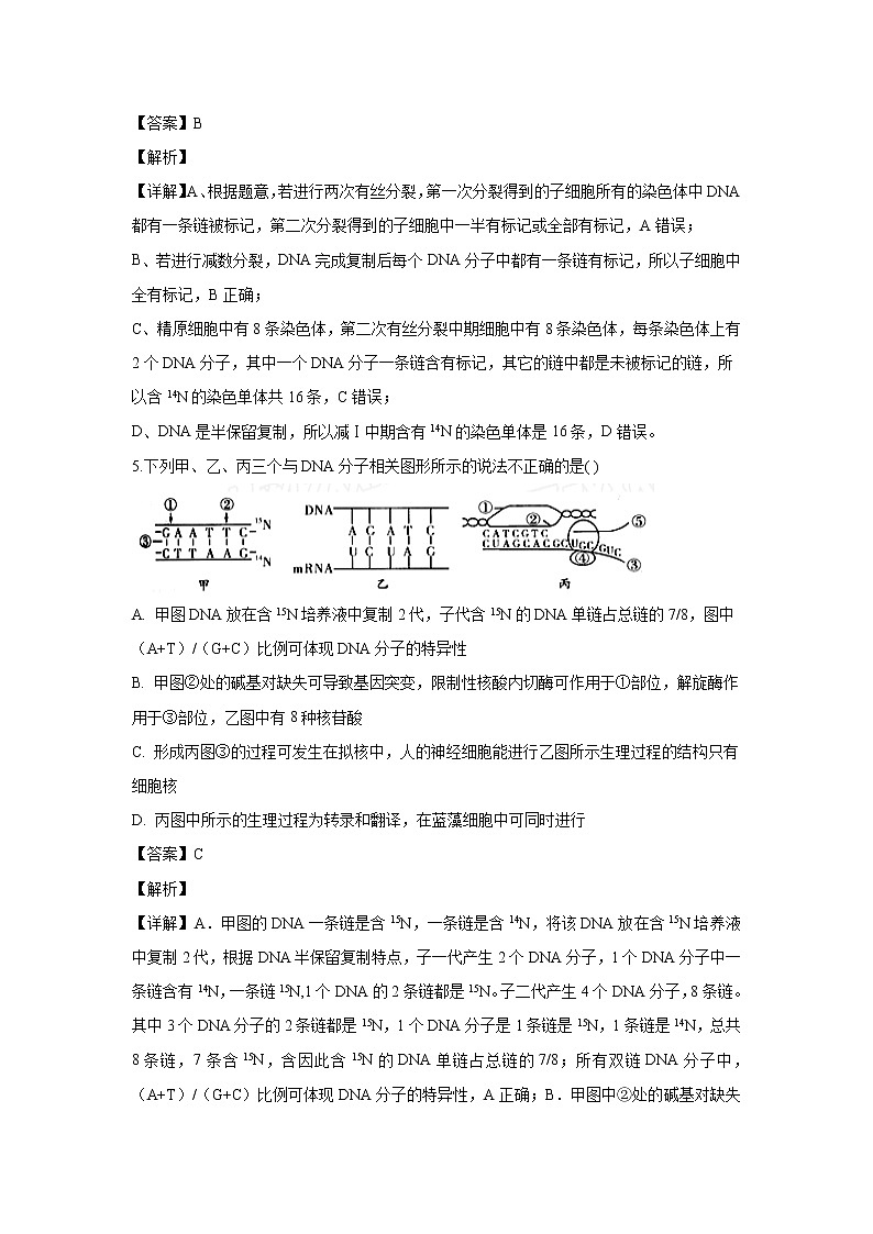 【生物】河南省郑州市一中2019-2020学年高二上学期模块检测（二）试题（解析版）03