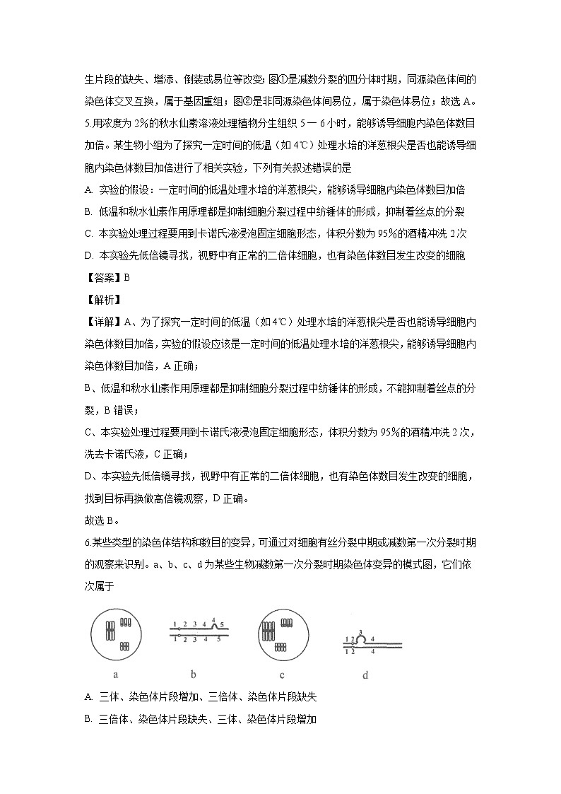 【生物】湖南省双峰县第一中学、湘潭县一中2019-2020学年高二（9月）联考试题（解析版）03