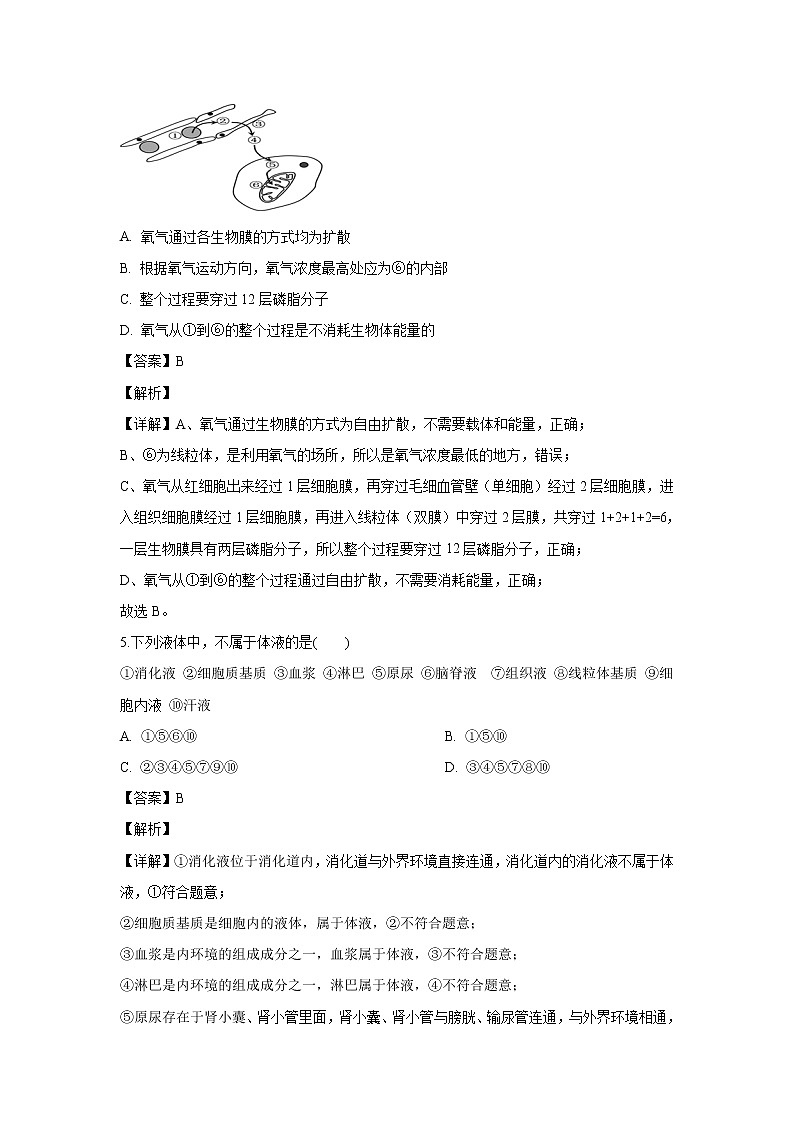 【生物】山西省太原市山西大学附中2019-2020学年高二10月模块诊断试题（解析版）03