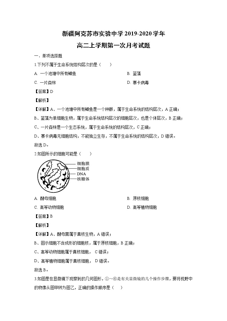 【生物】新疆阿克苏市实验中学2019-2020学年高二上学期第一次月考试题（解析版）01