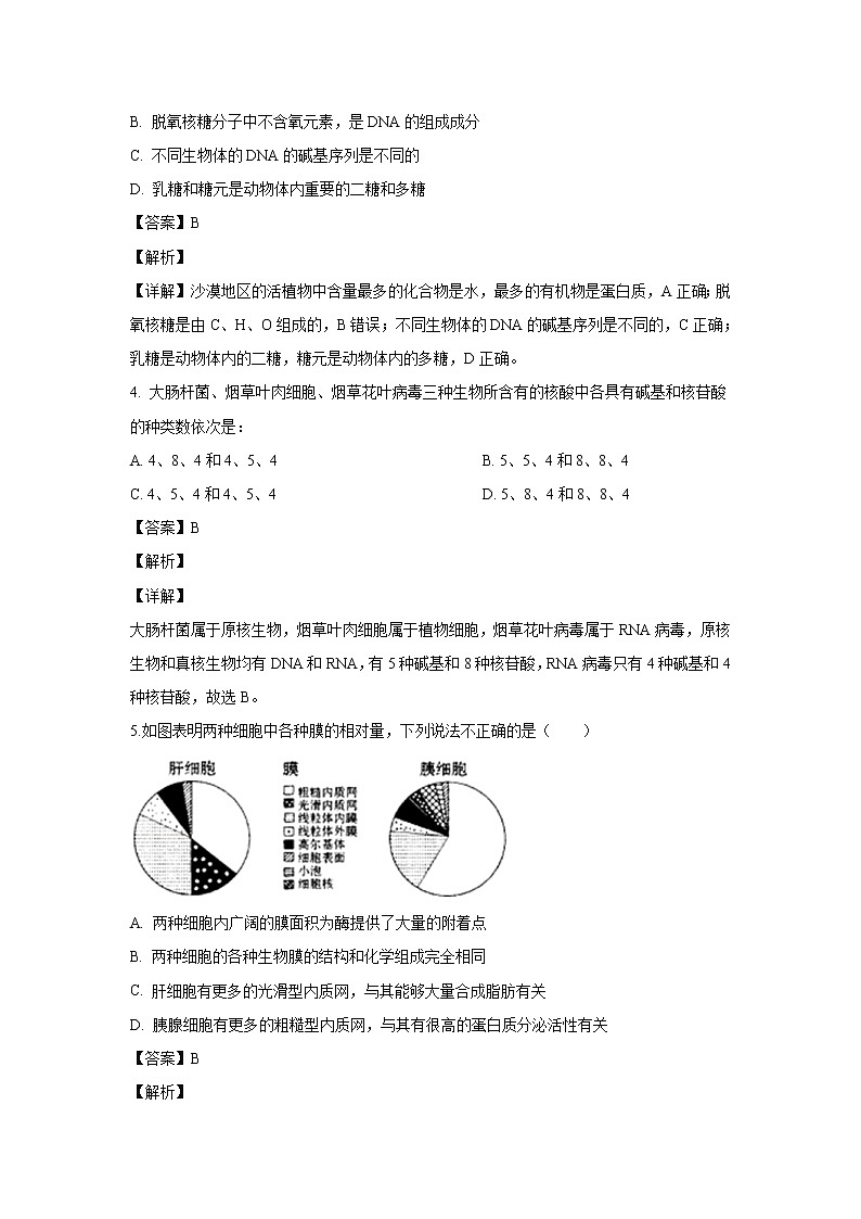 【生物】宁夏石嘴山市三中2019-2020学年高二10月月考试题（解析版）02