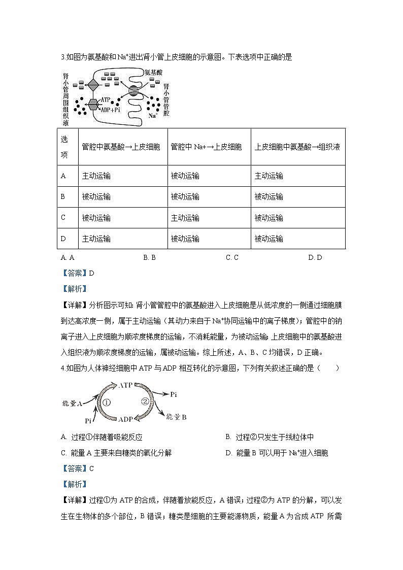 【生物】陕西省西安中学2019-2020学年高二12月月考试题（解析版）02