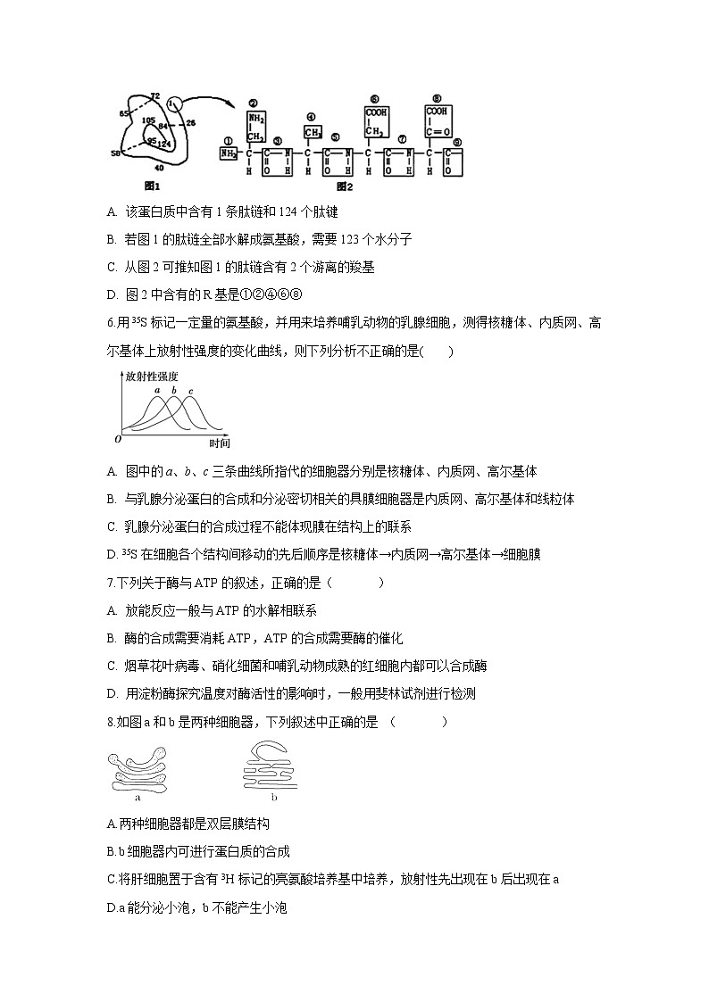 【生物】安徽省定远县育才学校2019-2020学年高二4月月考试题02