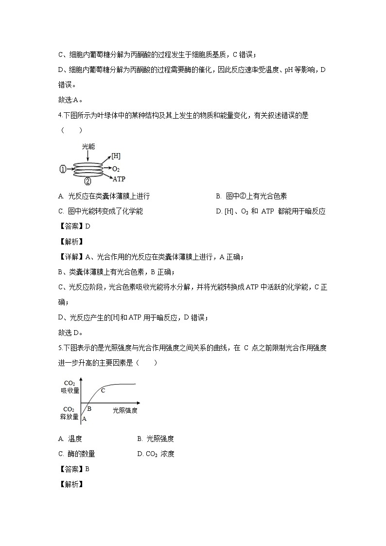 【生物】重庆市万州二中2019-2020学年高二上学期期中考试试题（解析版）02