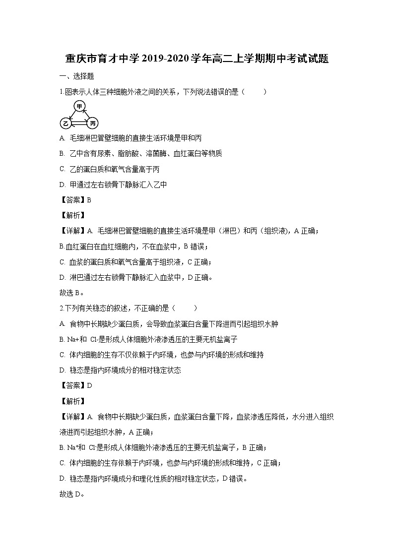 【生物】重庆市育才中学2019-2020学年高二上学期期中考试试题（解析版）01