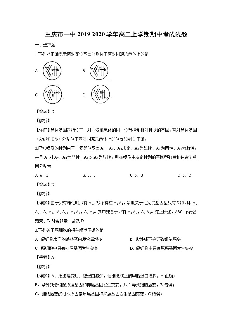 【生物】重庆市一中2019-2020学年高二上学期期中考试试题（解析版）01