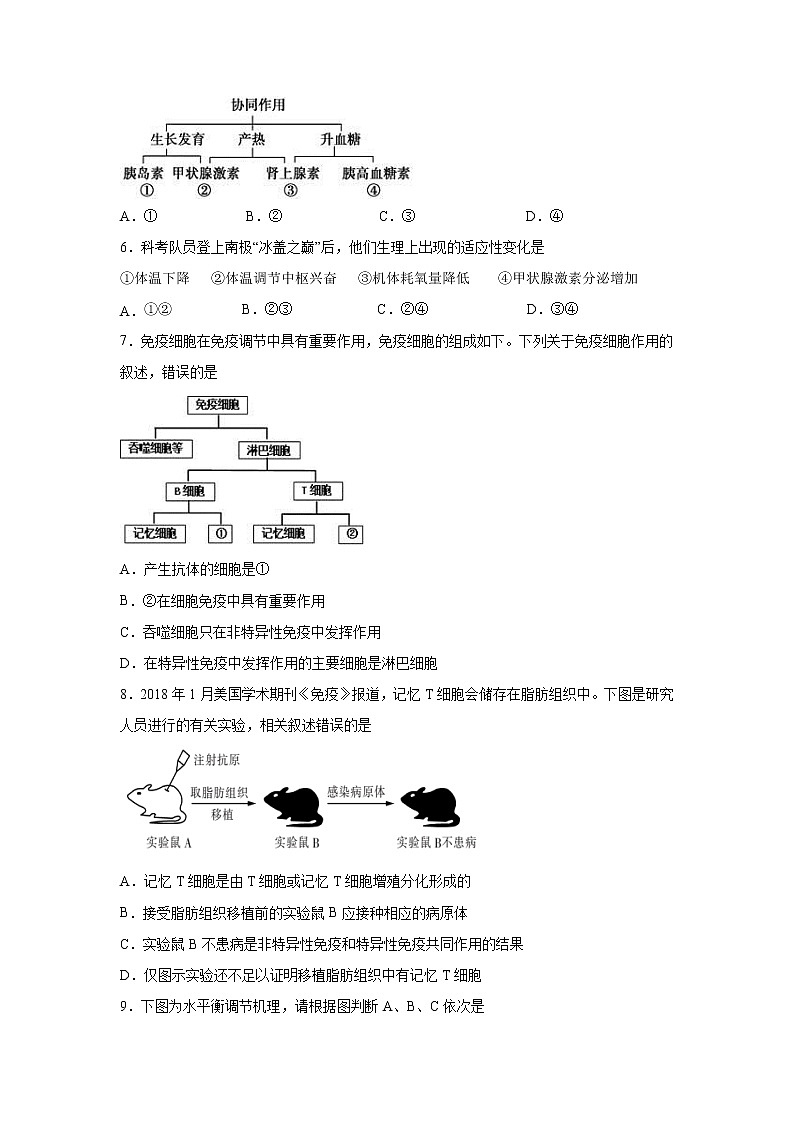 【生物】甘肃省兰州市第一中学2019-2020学年高二下学期期中考试（理）试题第2页