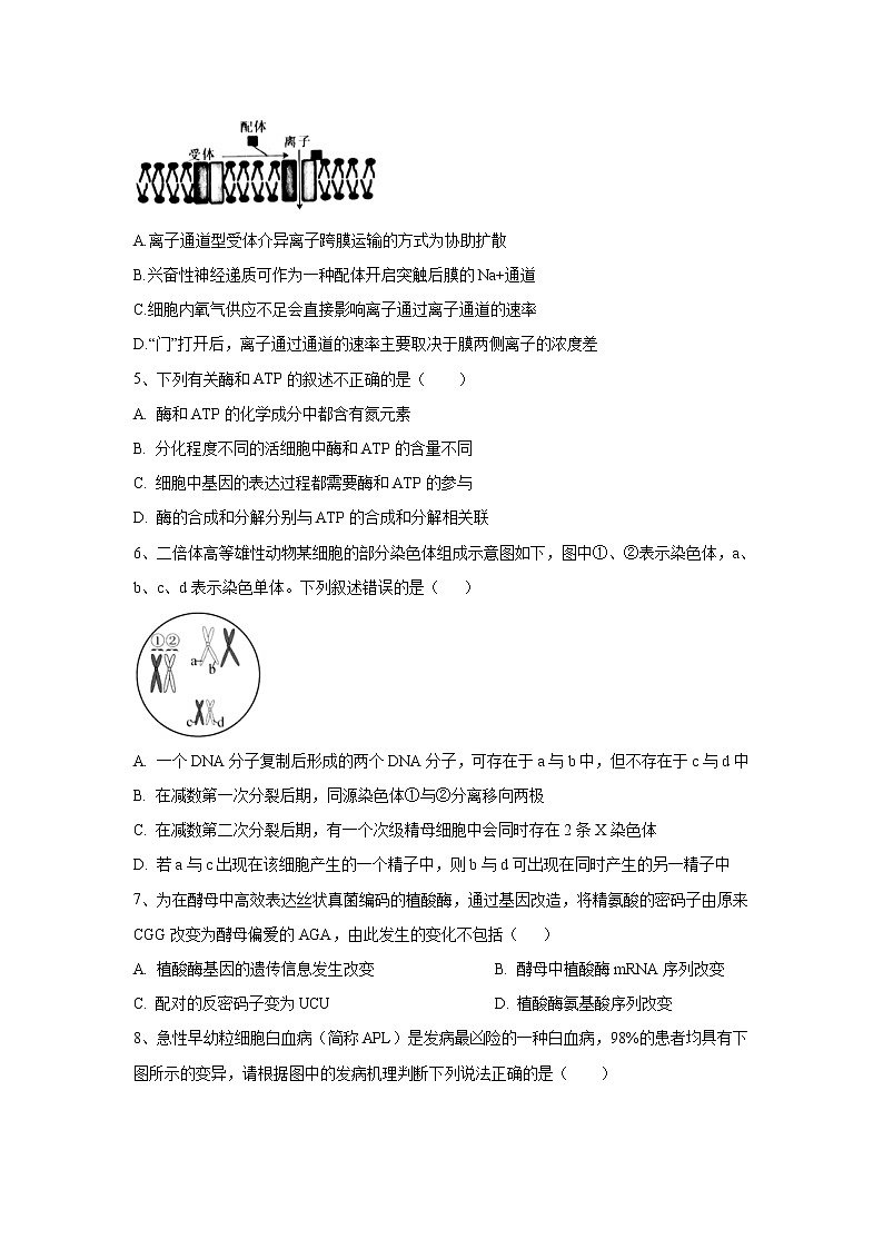 【生物】广东省深圳市四校2019-2020学年高二下学期期中考试联考试题第2页