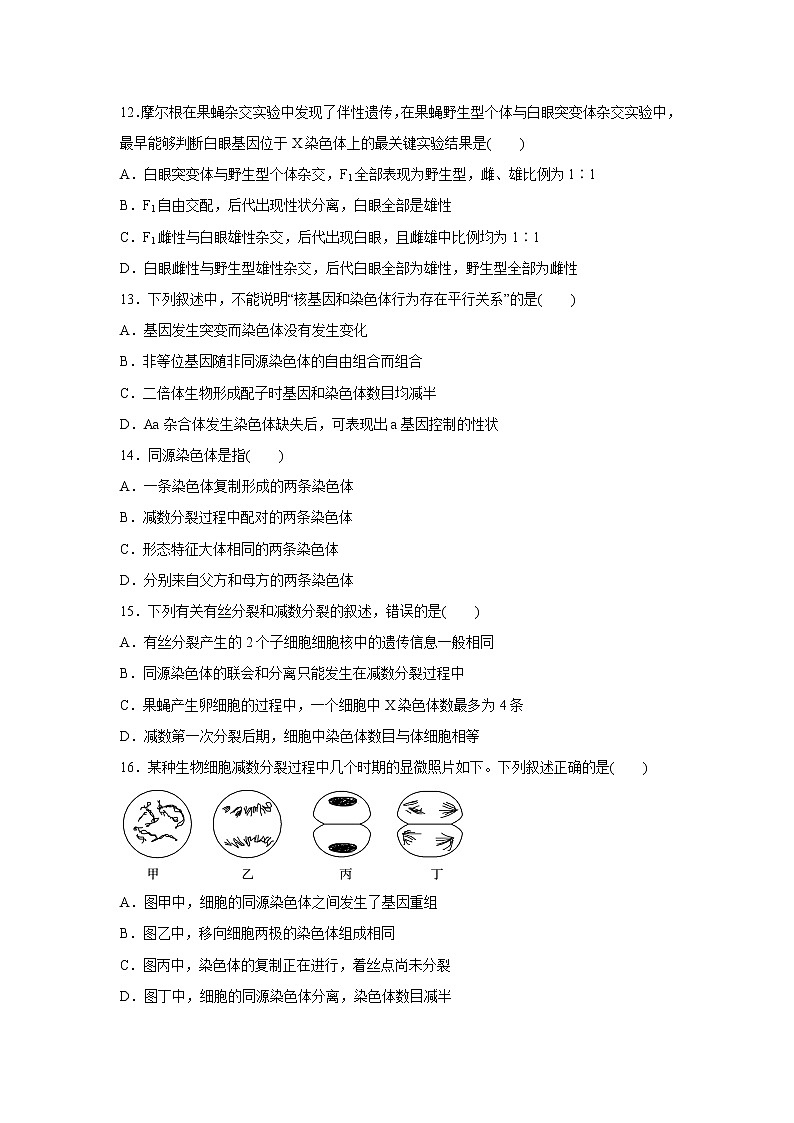 【生物】甘肃省武威第一中学2019-2020学年高二下学期期中考试试题03