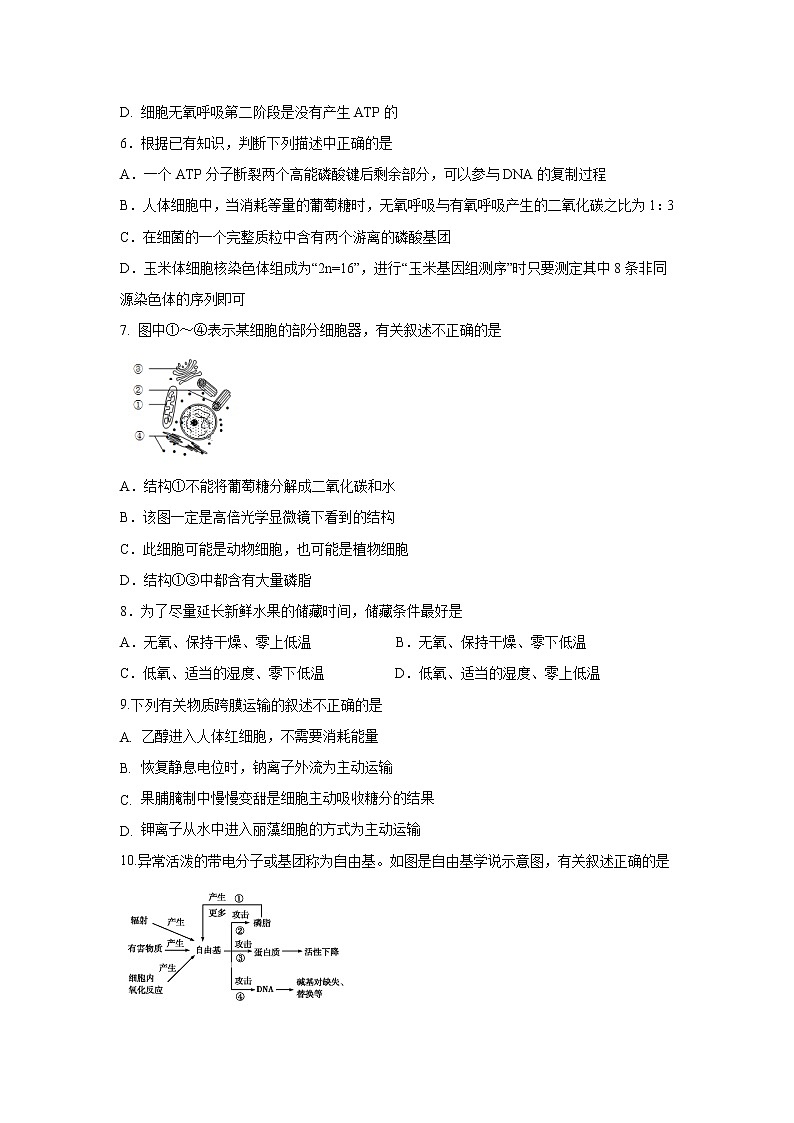 【生物】河南省商丘市第一高级中学2019-2020学年高二下学期期中考试试题02