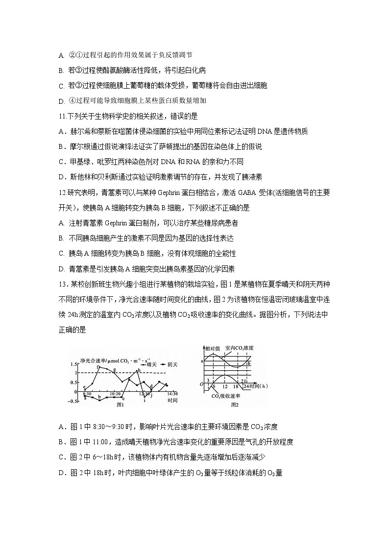 【生物】河南省商丘市第一高级中学2019-2020学年高二下学期期中考试试题03
