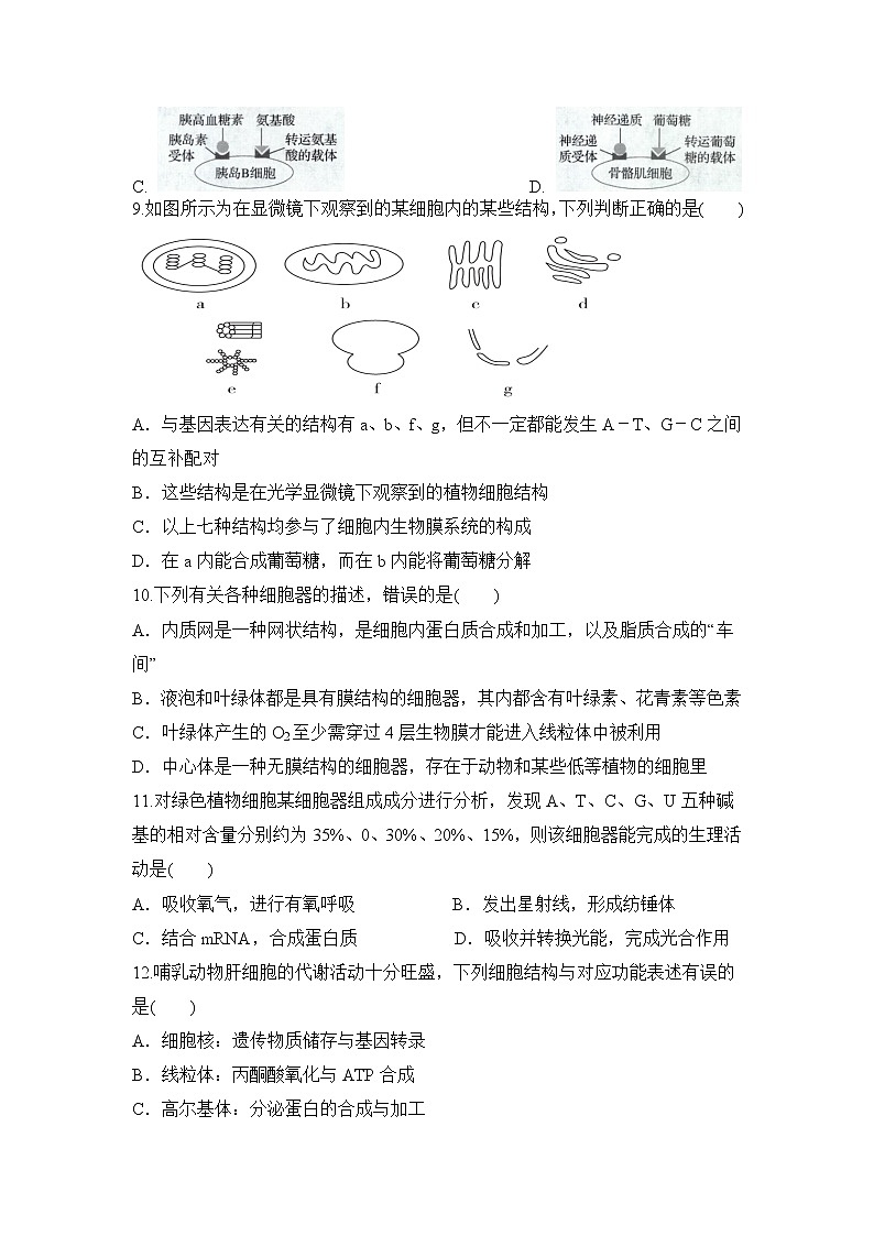 【生物】黑龙江省哈尔滨市第六中学校2019-2020学年高二下学期期中考试试题03