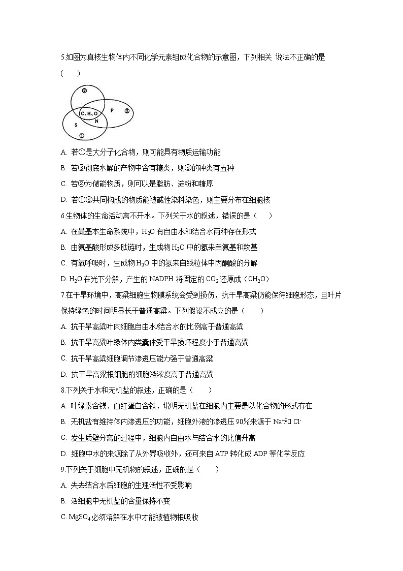 【生物】吉林省长春市实验中学2019-2020高二下学期期中考试试卷02