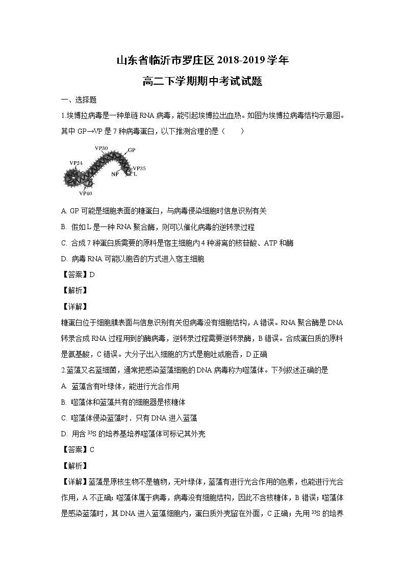 【生物】山东省临沂市罗庄区2018-2019学年高二下学期期中考试试题（解析版）01