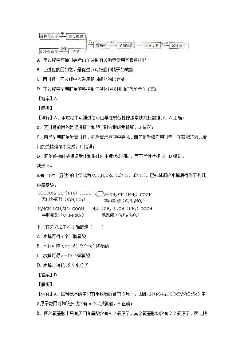 【生物】山东省临沂市罗庄区2018-2019学年高二下学期期中考试试题（解析版）03