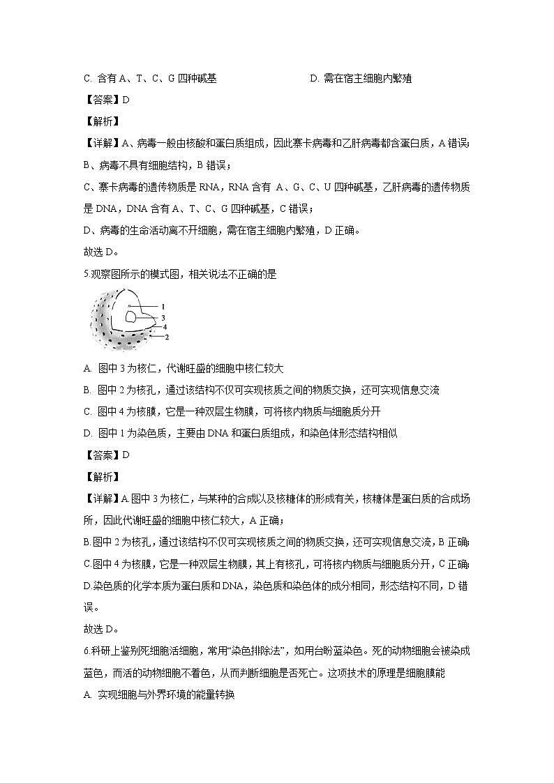 【生物】新疆昌吉市教育共同体2019-2020学年高二上学期期末考试试题（解析版）02