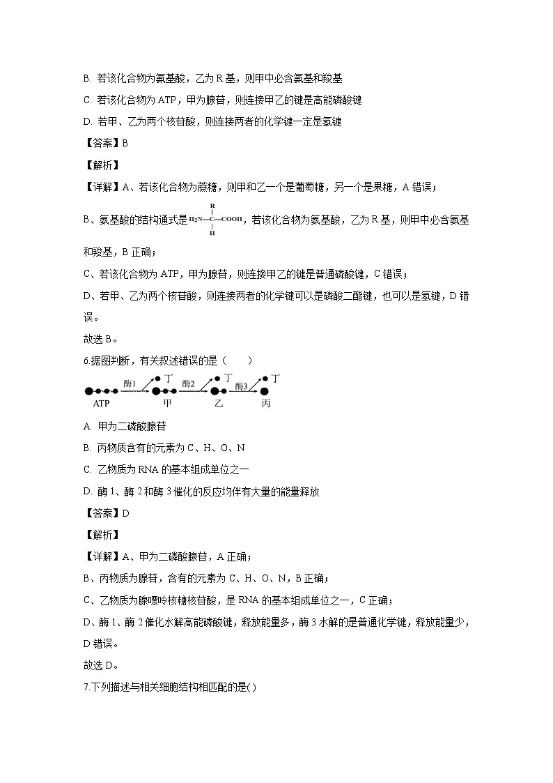 【生物】天津市六校2018-2019学年高二下学期期末考试试题（解析版）第3页